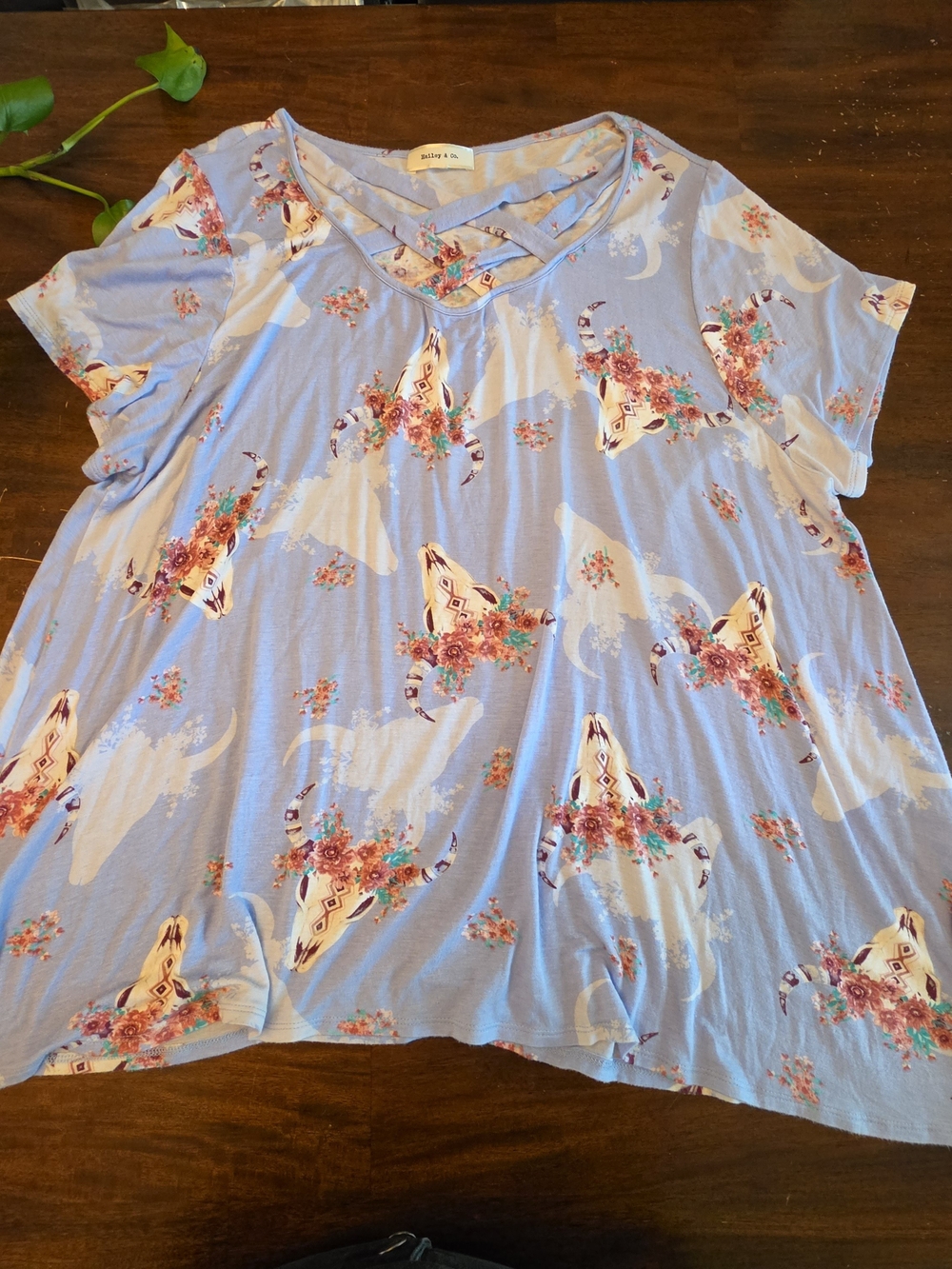 Hailey & Co. Blue Floral Babydoll Top Boho Short Sleeve Pleated Blouse 3XL